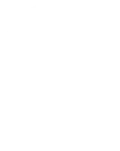 Agossa Footer Logo